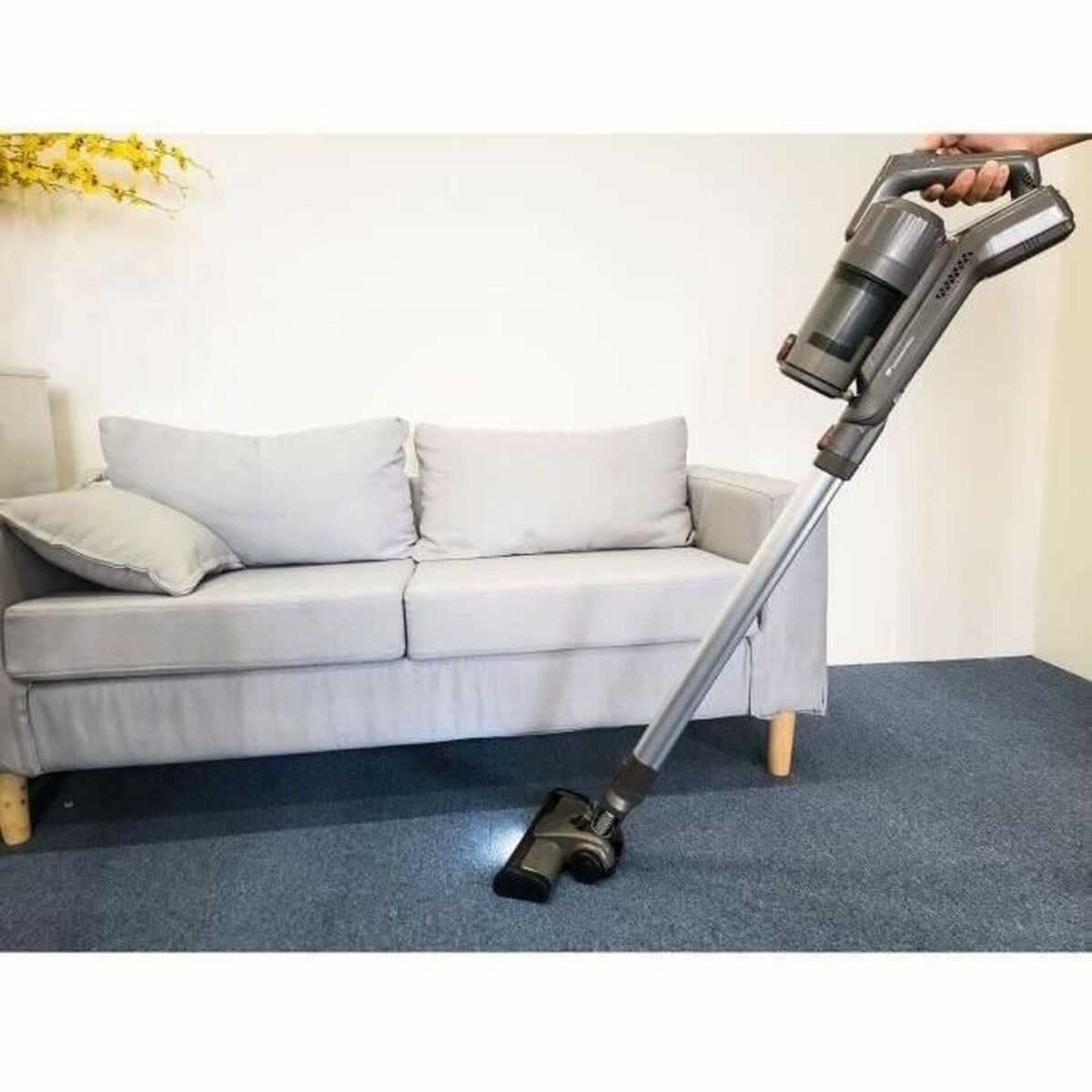 Vacuum Cleaner Continental Edison 100 W